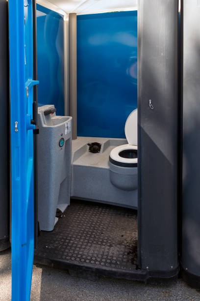 Best Affordable portable toilet rental  in Brownlee Park, MI