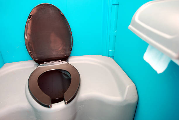 Best Porta potty rental for parties  in Brownlee Park, MI